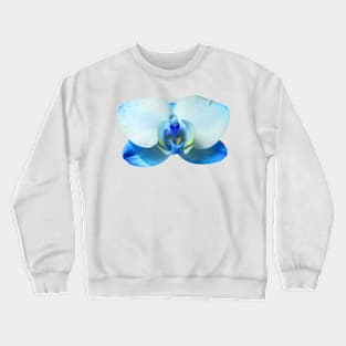 Orchid Close up Crewneck Sweatshirt